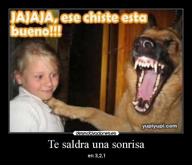 carteles sonrisa saldra una sonrisa perro nina desmotivaciones