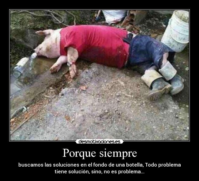 Porque siempre - buscamos las soluciones en el fondo de una botella, Todo problema
tiene solución, sino, no es problema...