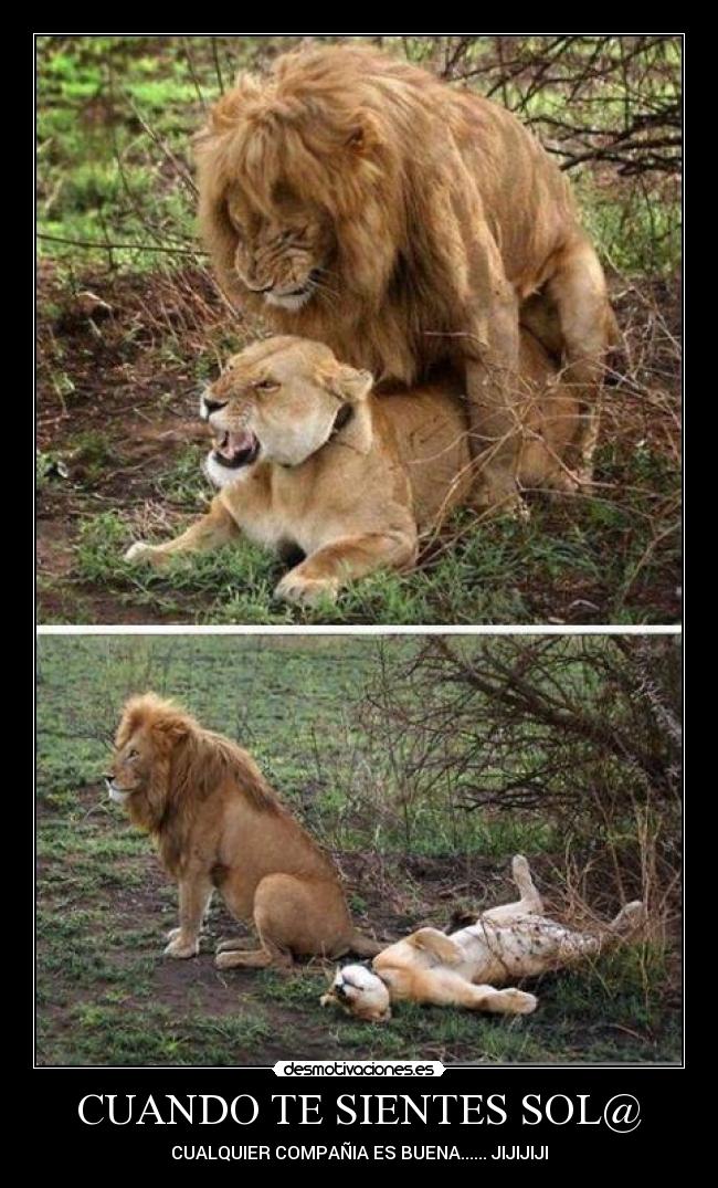 carteles locura desmotivaciones