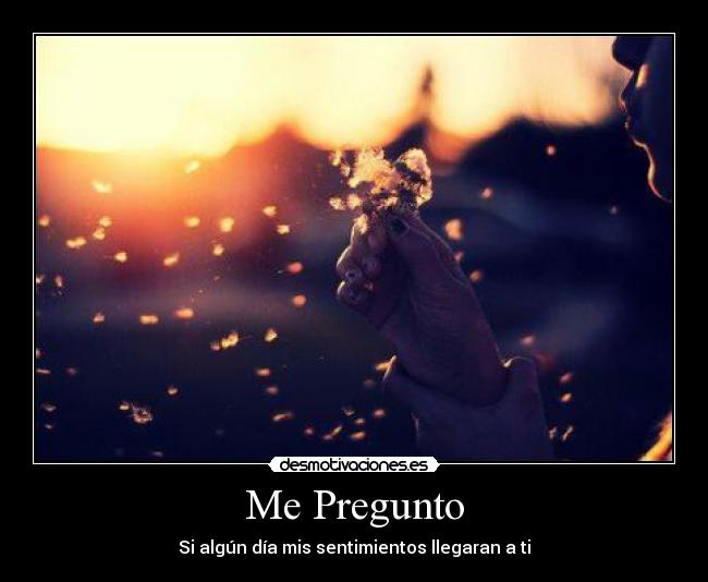 Me Pregunto -