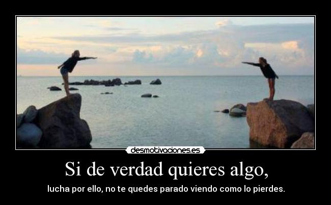 Si de verdad quieres algo, - lucha por ello, no te quedes parado viendo como lo pierdes.