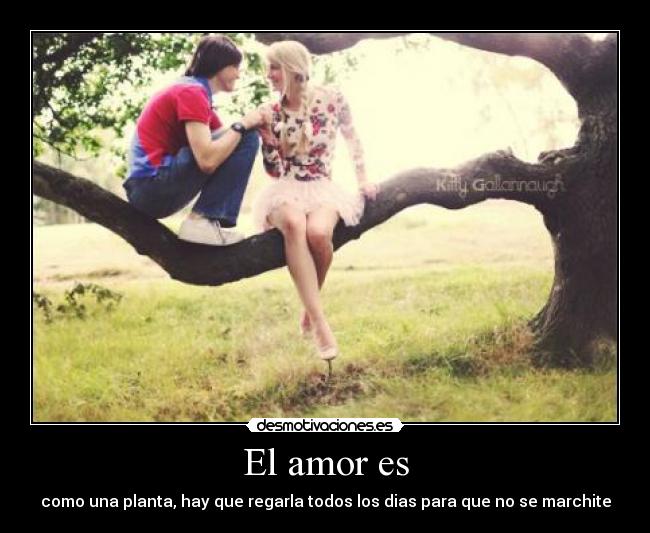 El amor es -