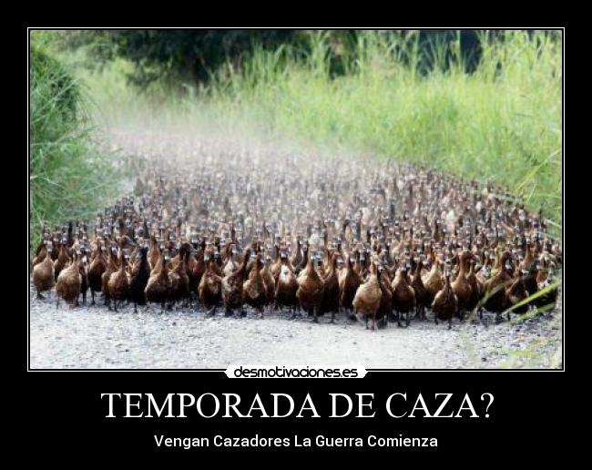 TEMPORADA DE CAZA? - Vengan Cazadores La Guerra Comienza