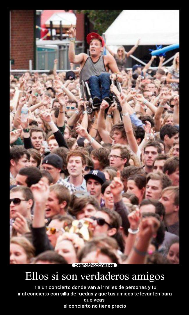 Ellos si son verdaderos amigos - 