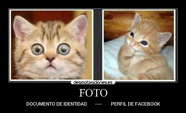 FOTO - DOCUMENTO DE IDENTIDAD       ----        PERFIL DE FACEBOOK