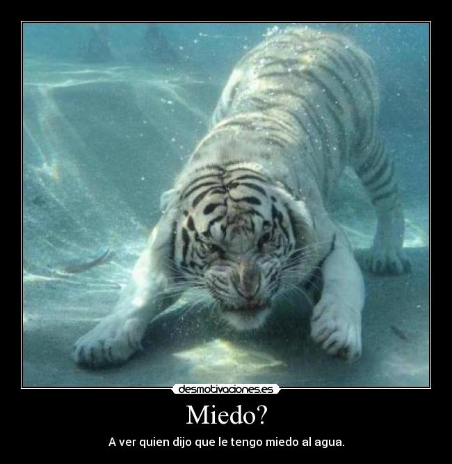 Miedo? -