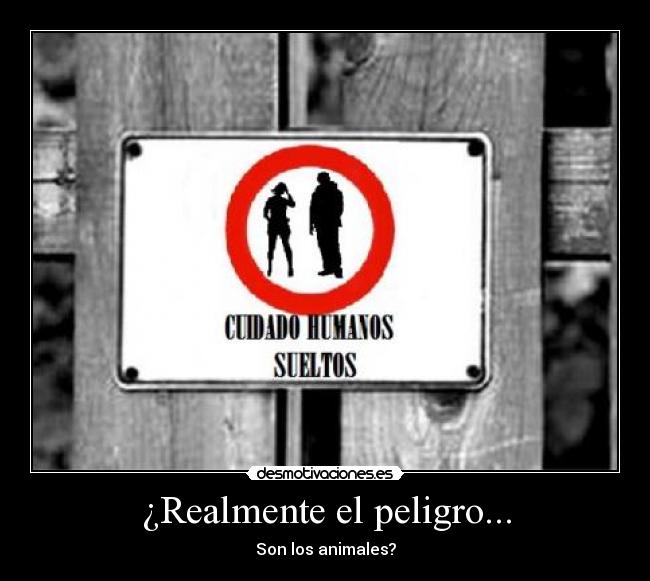 ¿Realmente el peligro... - Son los animales?