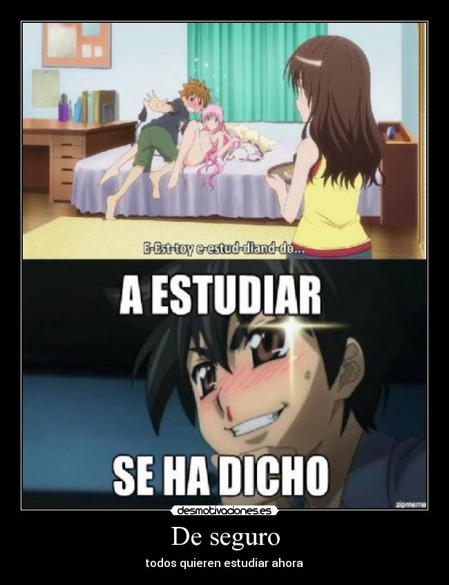 De seguro - todos quieren estudiar ahora