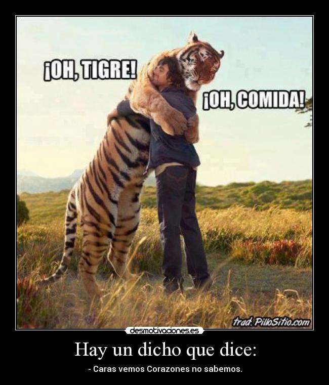 carteles ninguna desmotivaciones