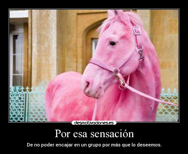 carteles por esa sensacion desmotivaciones