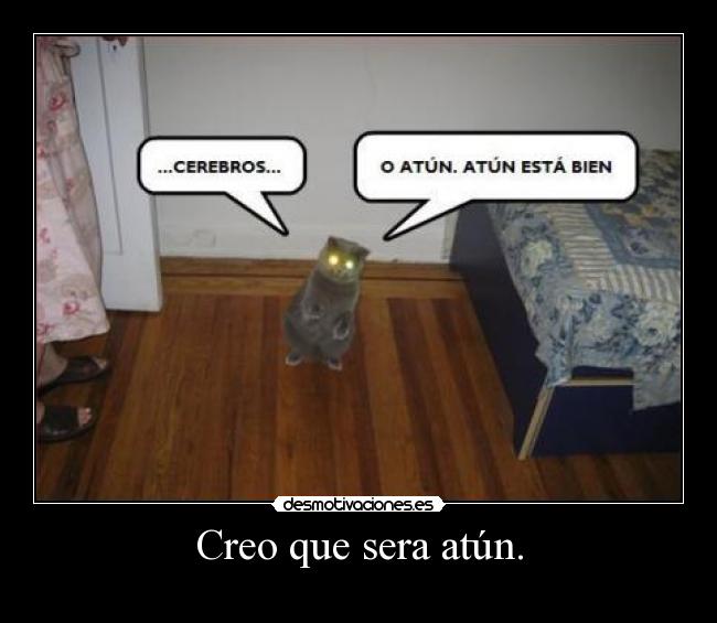 Creo que sera atún. - 