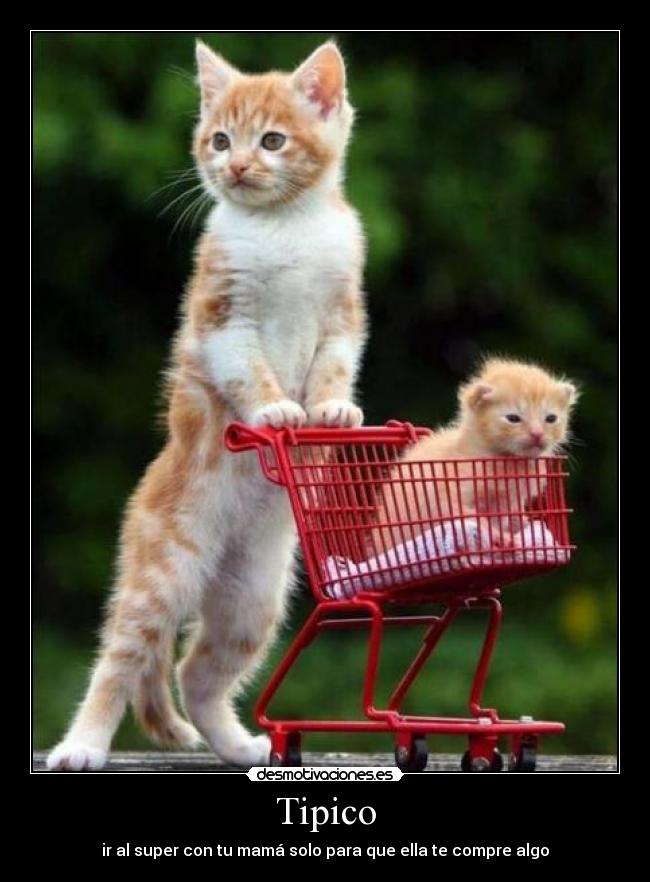 Tipico - ir al super con tu mamá solo para que ella te compre algo