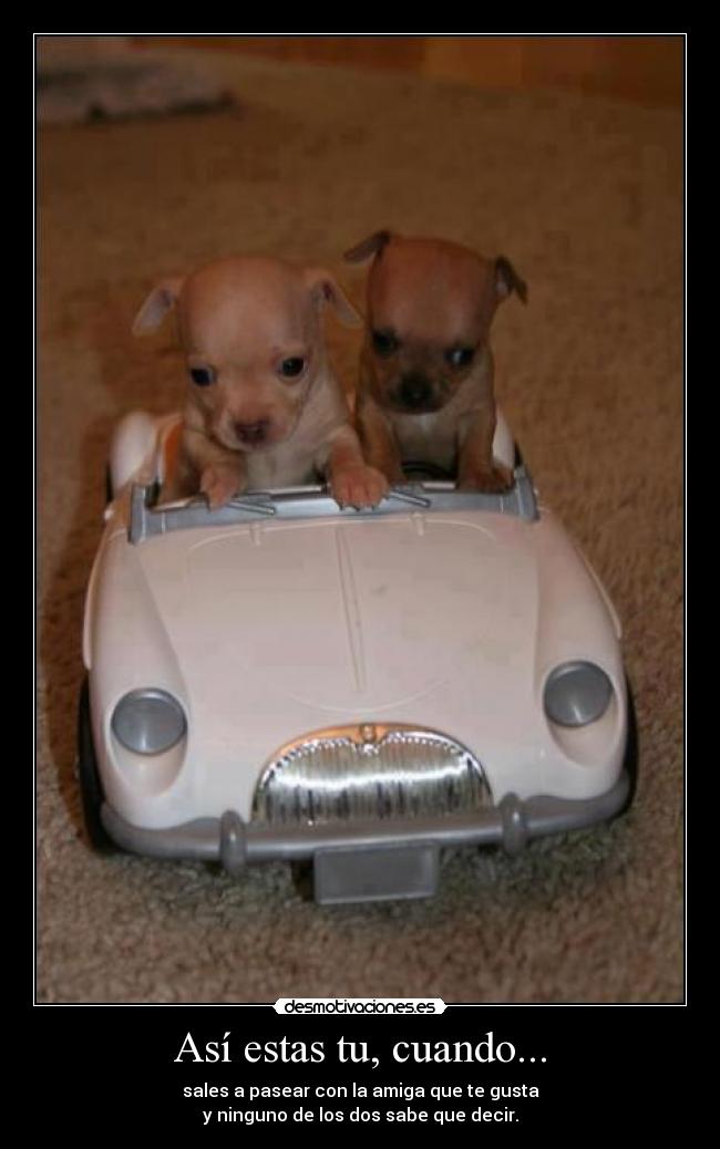 carteles wapipoyo desmotivaciones