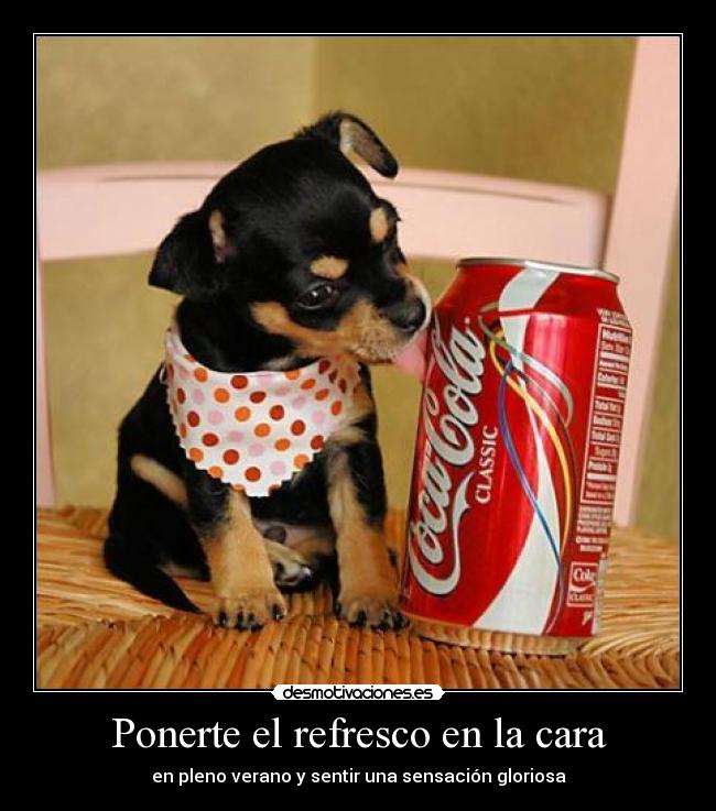 Ponerte el refresco en la cara -