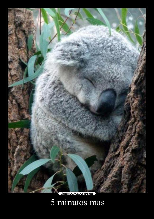 5 minutos mas -