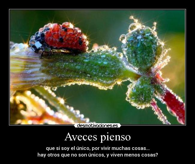 Aveces pienso - 