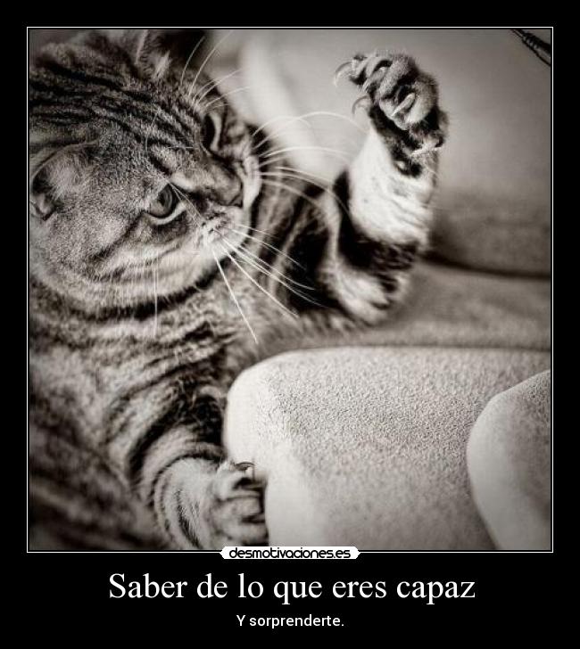 Saber de lo que eres capaz - Y sorprenderte.