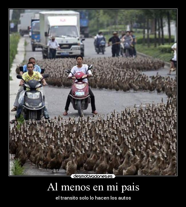 Al menos en mi pais - el transito solo lo hacen los autos