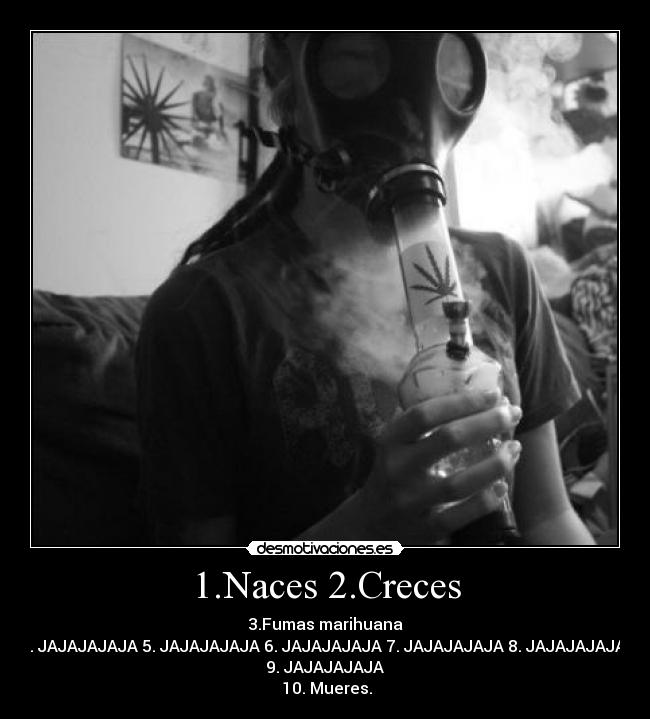 1.Naces 2.Creces - 3.Fumas marihuana
4. JAJAJAJAJA 5. JAJAJAJAJA 6. JAJAJAJAJA 7. JAJAJAJAJA 8. JAJAJAJAJA
9. JAJAJAJAJA
10. Mueres.