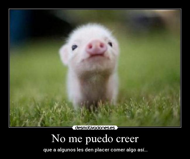 No me puedo creer - que a algunos les den placer comer algo así...