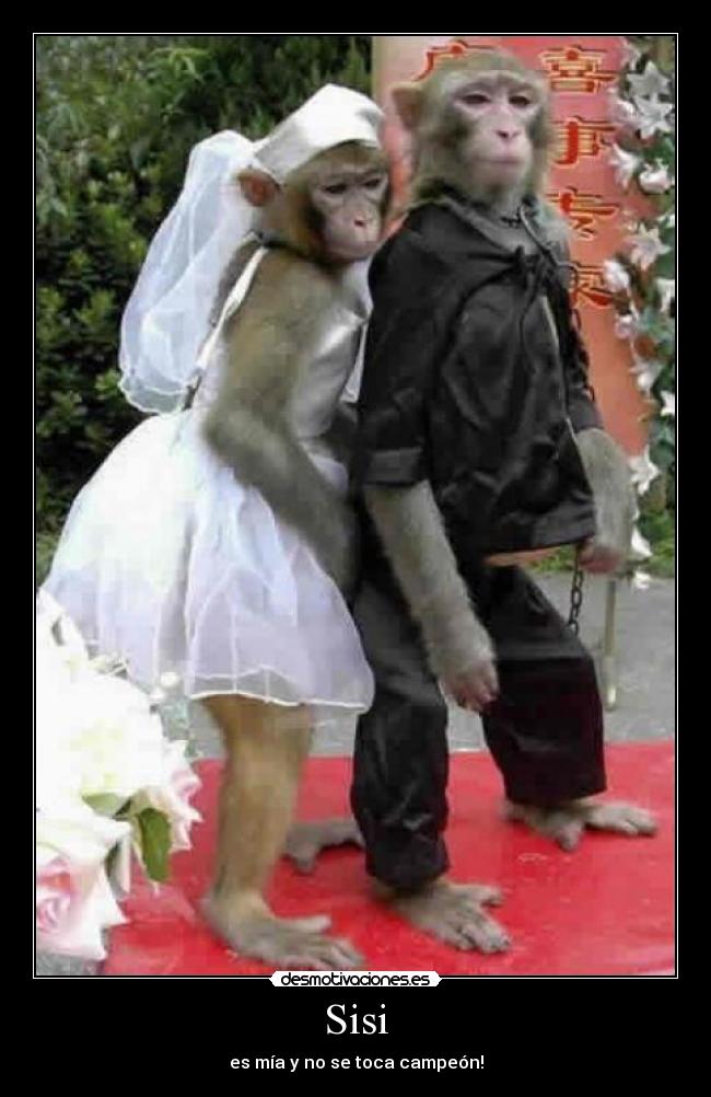 Sisi - es mía y no se toca campeón!