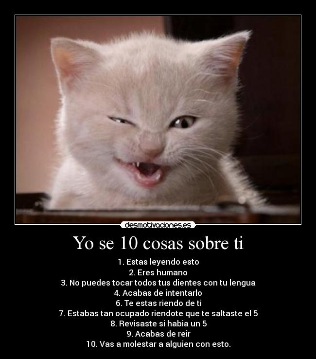 Yo se 10 cosas sobre ti -