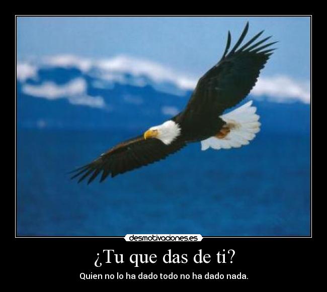 ¿Tu que das de ti? - 