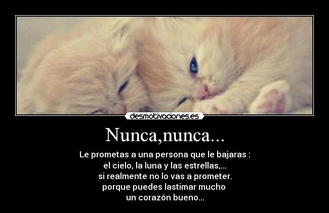 Nunca,nunca... -