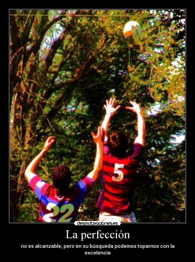 La perfección - no es alcanzable, pero en su búsqueda podemos toparnos con la excelencia