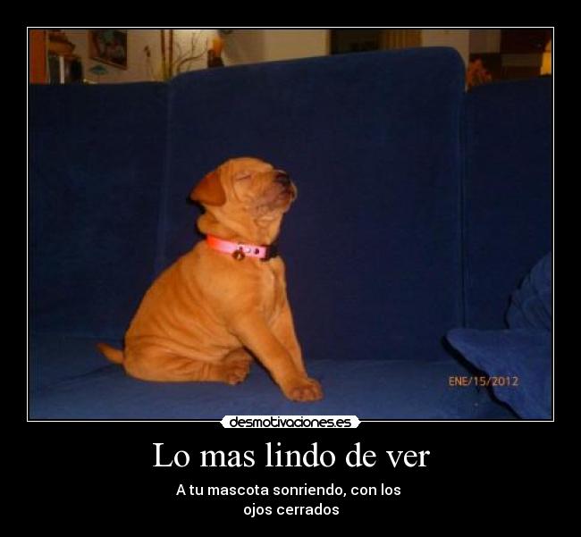 Lo mas lindo de ver -