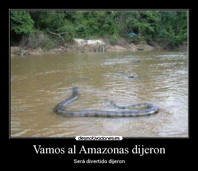 Vamos al Amazonas dijeron - Será divertido dijeron
