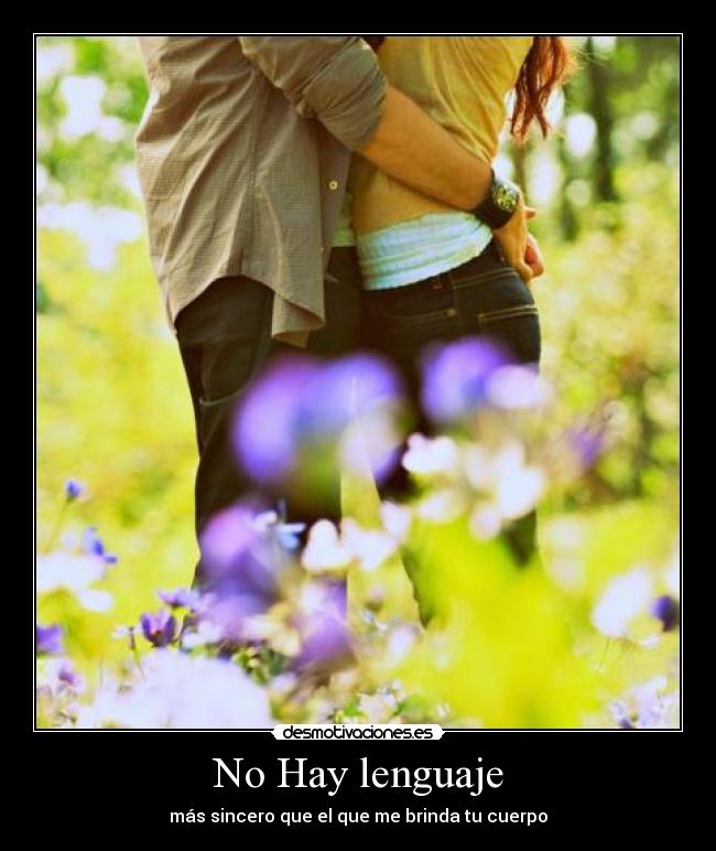 No Hay lenguaje -