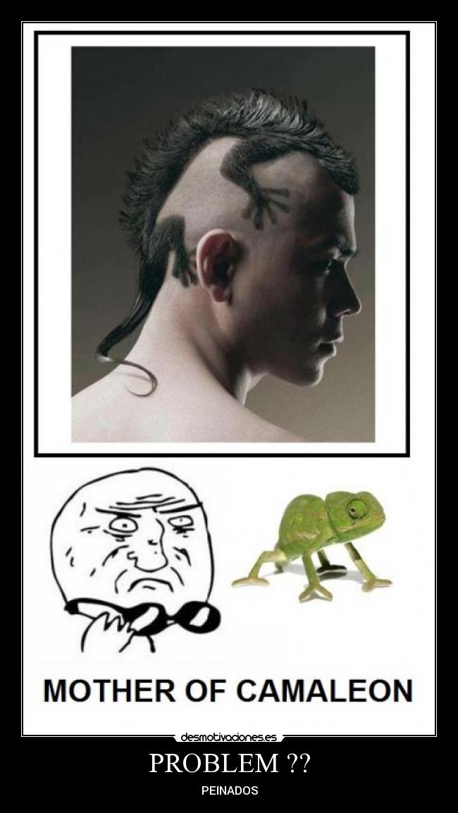 PROBLEM ?? - PEINADOS