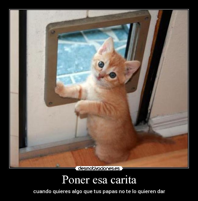 Poner esa carita - cuando quieres algo que tus papas no te lo quieren dar