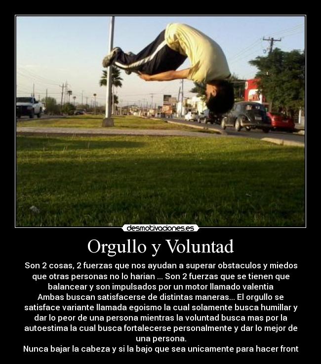 carteles parkour desmotivaciones