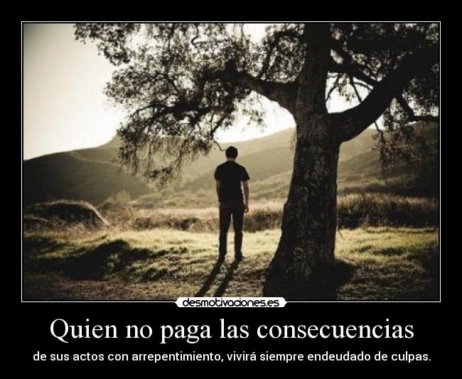 Quien no paga las consecuencias - 