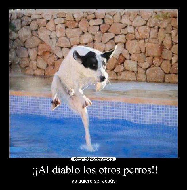 ¡¡Al diablo los otros perros!! - 