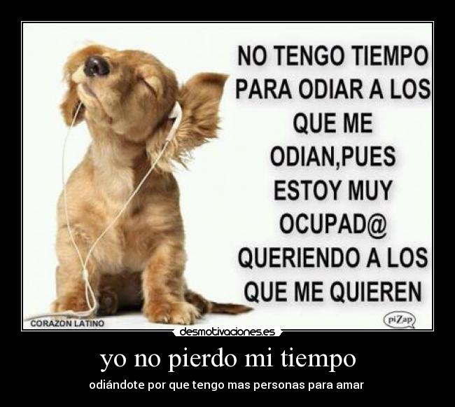 yo no pierdo mi tiempo - odiándote por que tengo mas personas para amar