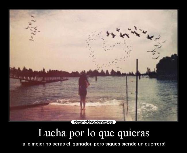 Lucha por lo que quieras - 