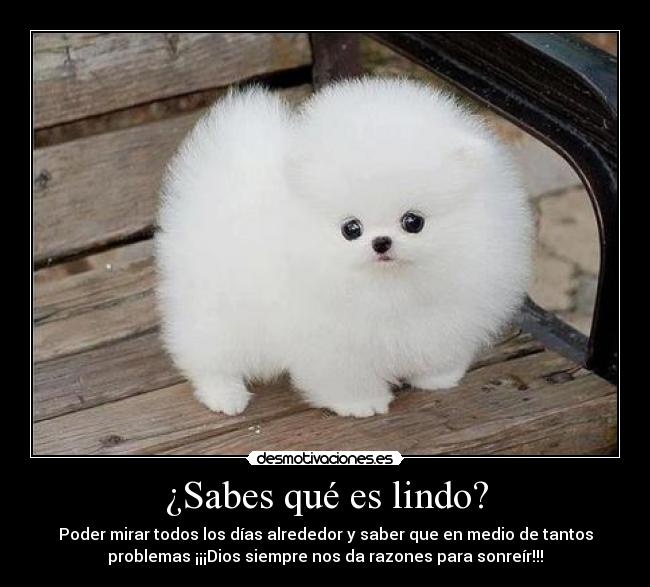 ¿Sabes qué es lindo? - Poder mirar todos los días alrededor y saber que en medio de tantos
problemas ¡¡¡Dios siempre nos da razones para sonreír!!!