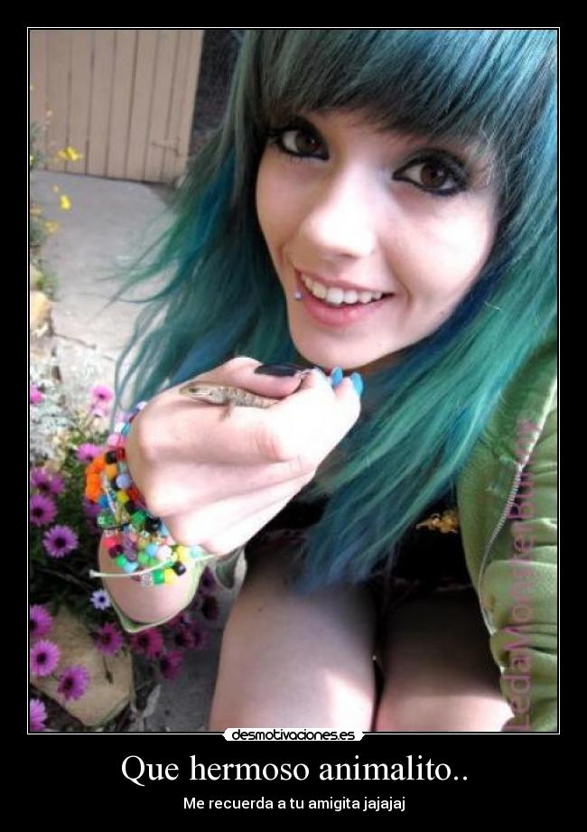 Que hermoso animalito.. - 