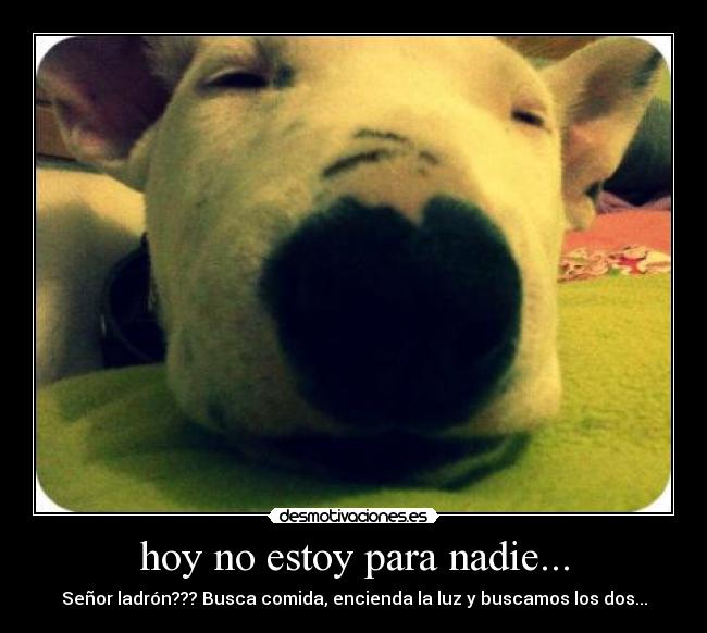 hoy no estoy para nadie... -