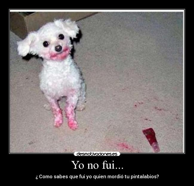 Yo no fui... - ¿ Como sabes que fui yo quien mordió tu pintalabios?