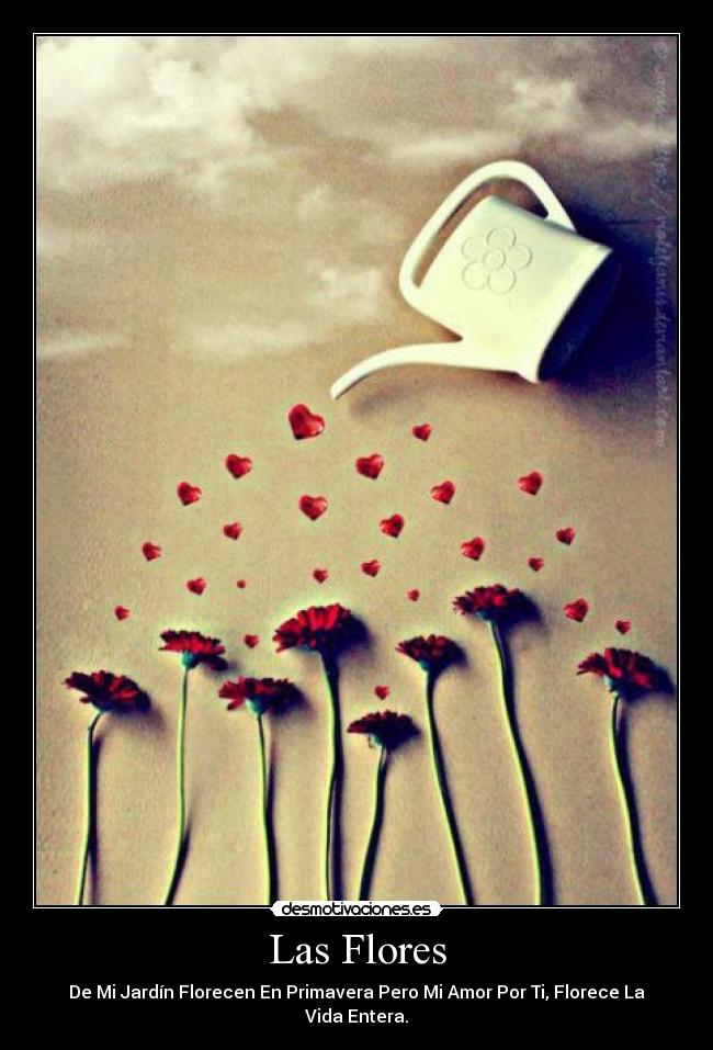Las Flores - De Mi Jardín Florecen En Primavera Pero Mi Amor Por Ti, Florece La Vida Entera.