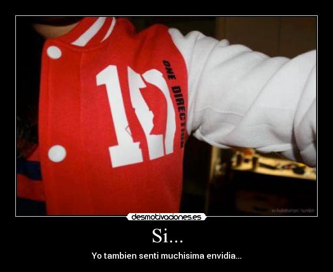 carteles onedirection desmotivaciones