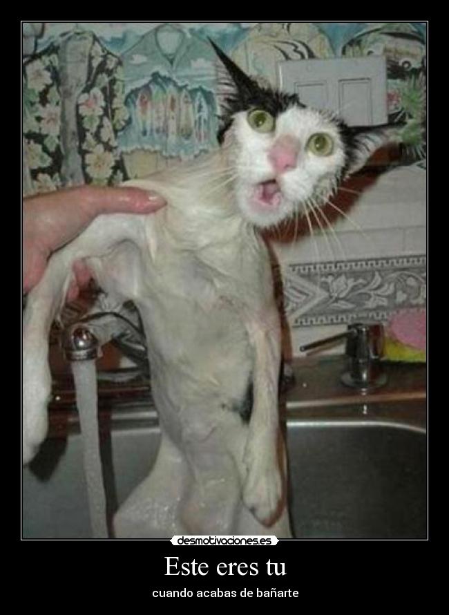Este eres tu - cuando acabas de bañarte