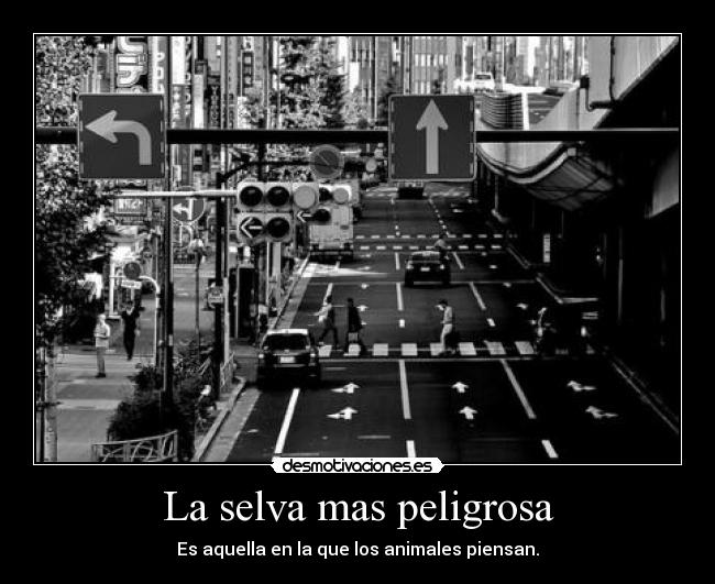 La selva mas peligrosa - 