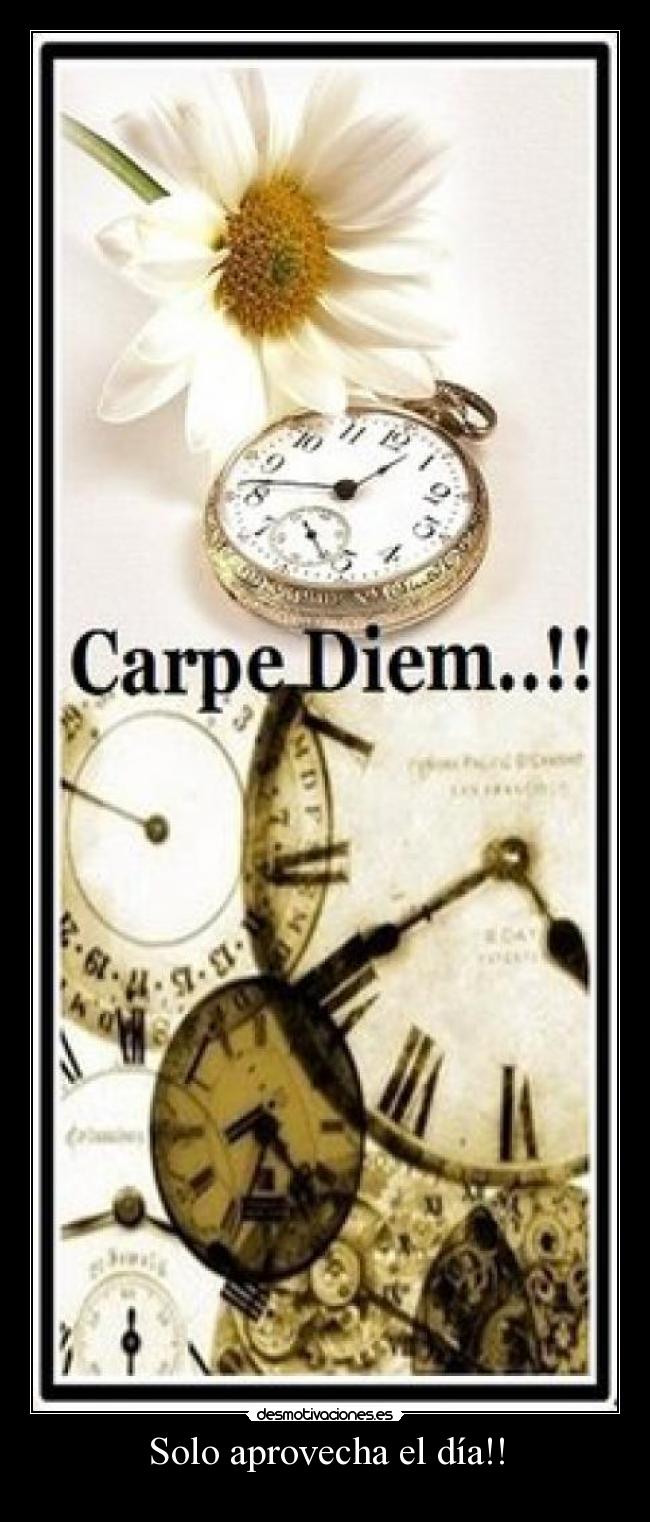 Solo aprovecha el día!! -
