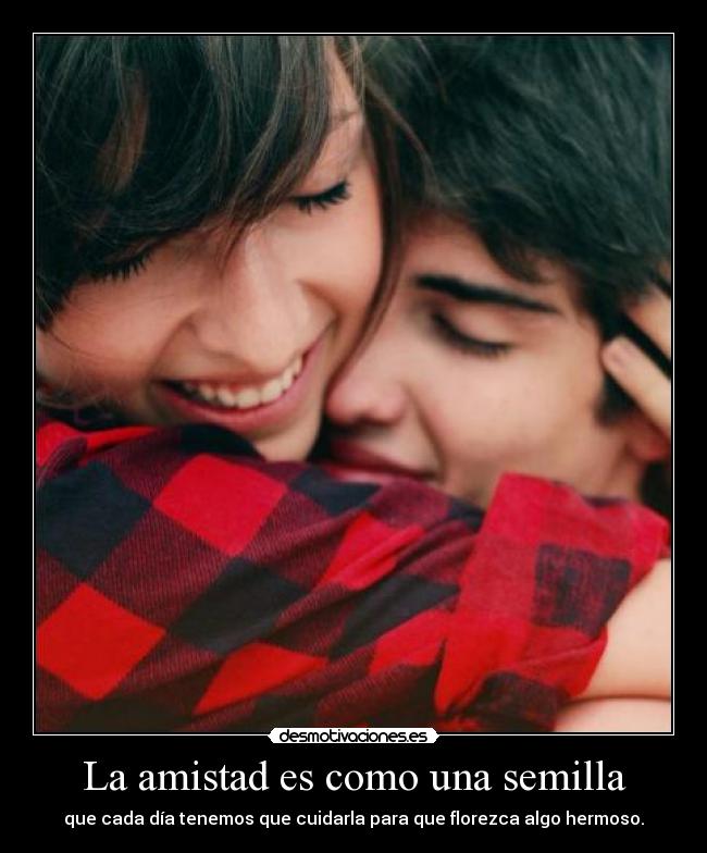 carteles amistad stef desmotivaciones