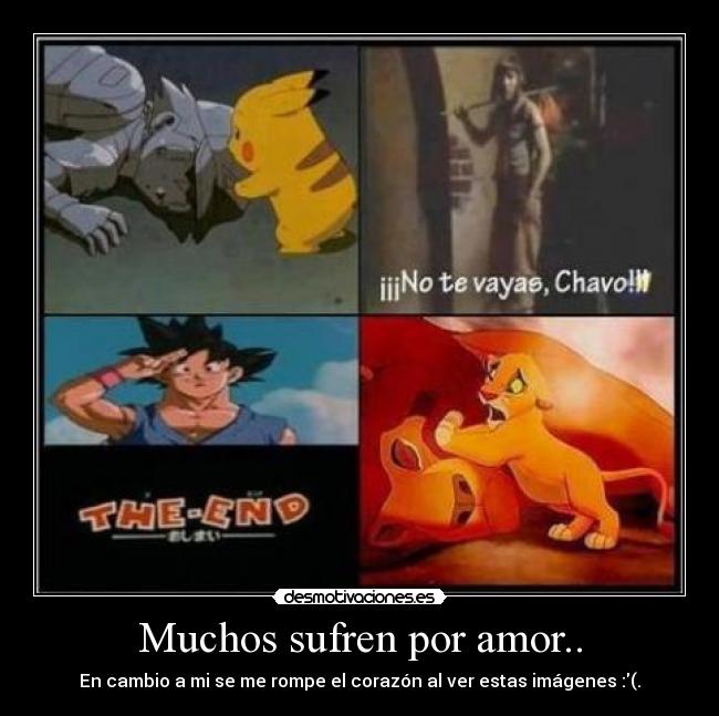 Muchos sufren por amor.. - En cambio a mi se me rompe el corazón al ver estas imágenes :(.